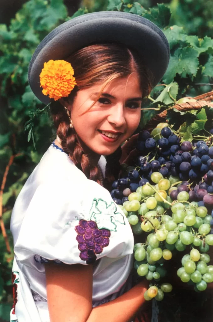 La oferta turística en vendimia