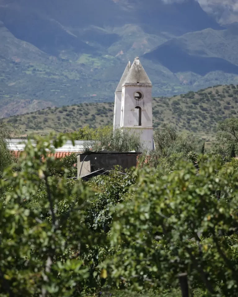 Vendimia Chapaca - Tarija Uriondo