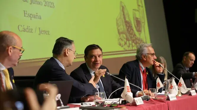 Pau Roca presidiendo la 21 asamblea de la OIV en España.