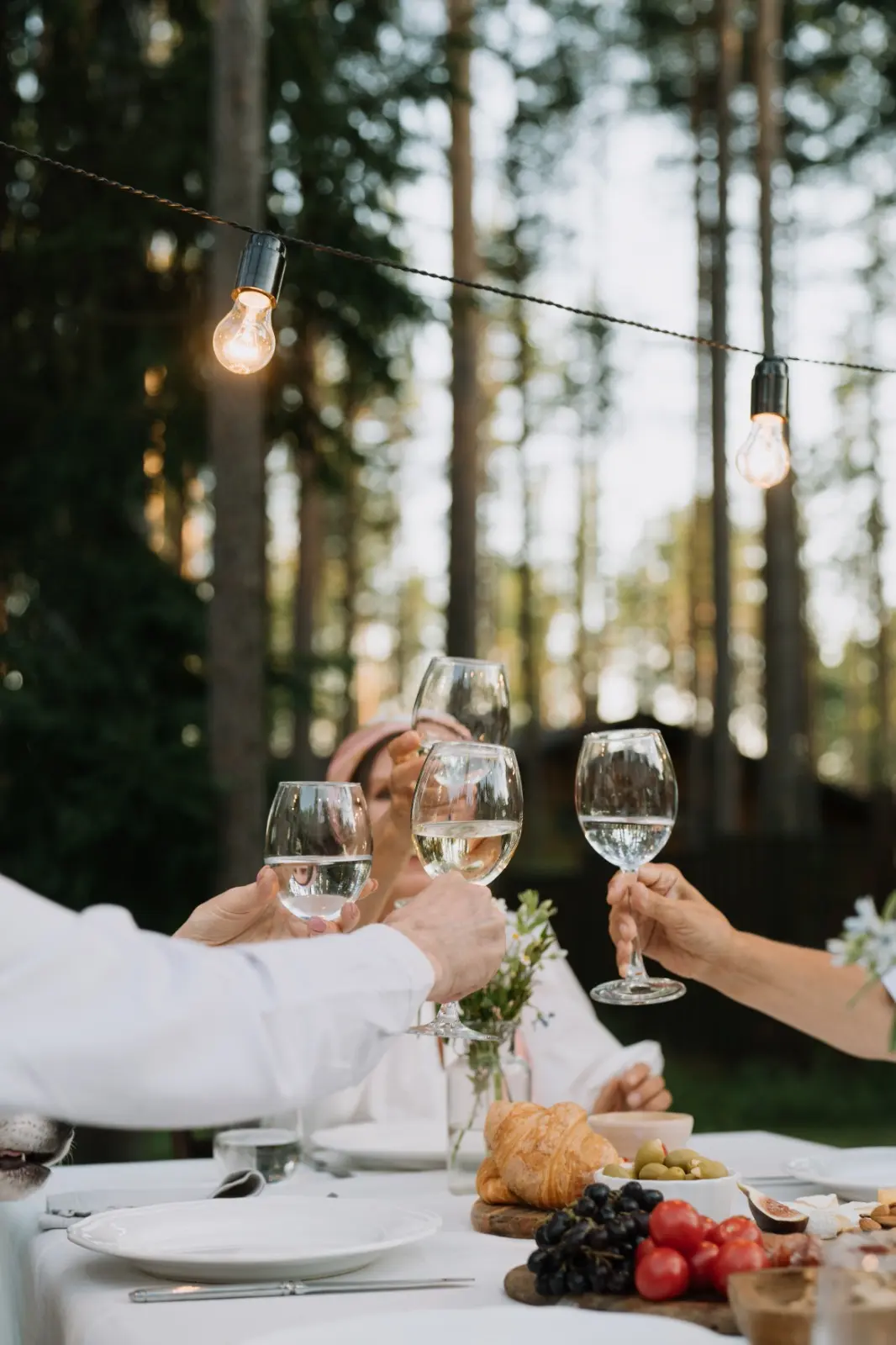 Es todo un tema elegir el vino para una ocasión especial. Aquí te damos algunos consejos.